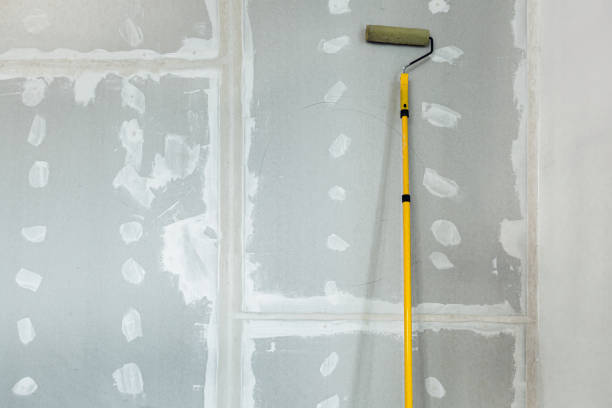 Dehumidification Services in Dublin, TX