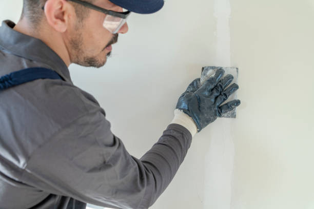 Best Attic Mold Removal  in Dublin, TX