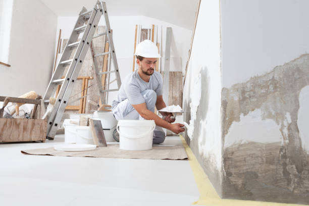  Dublin, TX Mold Removal Pros