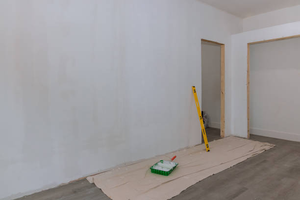 Best Mold Odor Removal Services  in Dublin, TX