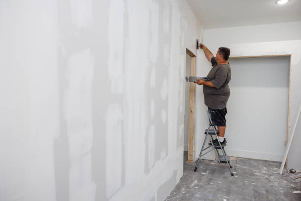 Best Real Estate Mold Inspection  in Dublin, TX