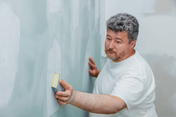 Best Residential Mold Inspection & Testing  in Dublin, TX