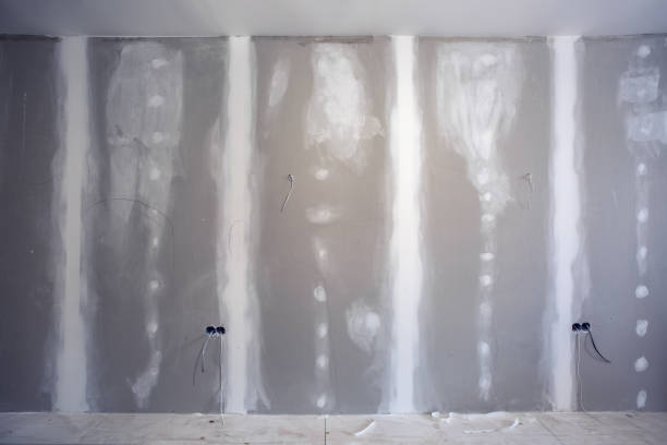 Dublin, TX Mold Removal Company
